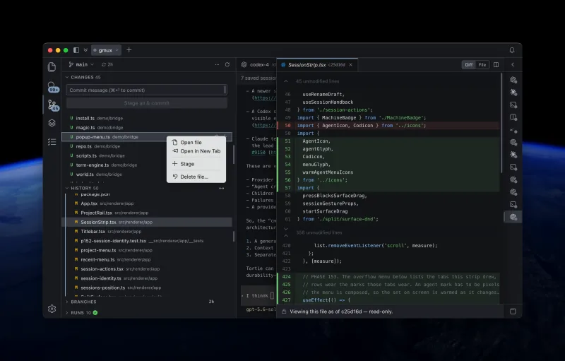 Tortie's source-control view showing changes, commit history, and a project diff.